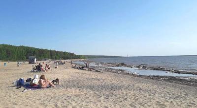 Шесть пляжей планируют открыть этим летом в Новосибирске