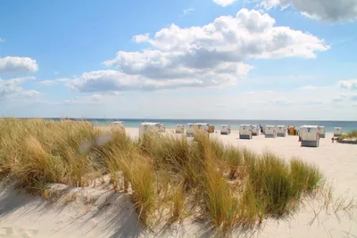 Балтийское Море Пляж Германия - Бесплатное фото на Pixabay - Pixabay