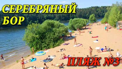 Где можно искупаться с ребёнком в Москве и Подмосковье? Пляжи Москвы для  семейного отдыха летом 2020 | KidsReview.ru