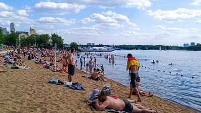 Не улетим, но поплаваем. Где купаться этим летом в Москве | Город | Time Out