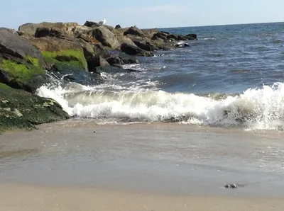Пляжи Montauk скалистые Нью-Йорка Стоковое Изображение - изображение  насчитывающей побережье, вход: 132311279