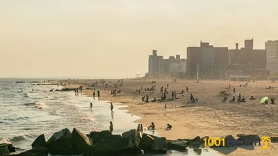 Жители Нью-Йорка с опаской ходят на пляжи после нападения акулы на женщину  — Новости мира сегодня NTD
