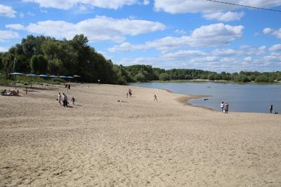 Шесть пляжей откроют в Новосибирске этим летом — где будем загорать |  nsknews.info | Дзен