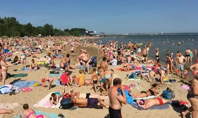 Пляжи Новосибирска: обзор и описание - 11 июля 2019 - НГС.ру
