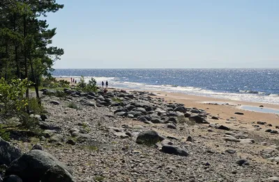 Visit Baltics - Самые живописные пляжи и тропы к морю от... | Facebook