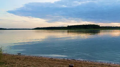 Окурки и пластик. Самыми грязными в Латвии признали пляжи Риги и Юрмалы -  LifeHacks.lv