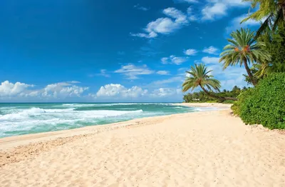 4 лучших пляжа в Америке - ForumDaily