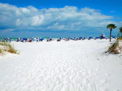 Пляжный отдых в США – безграничные возможности для идеального отпуска —  Турагентство EcoTravel