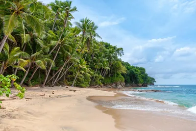 Названы лучшие пляжи в США в 2023 году – половина из них находятся во  Флориде и Гавайях