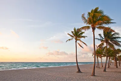 Топ-10 лучших пляжей мира и США: в списке есть места для любителей разной  погоды - ForumDaily