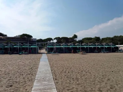 Частный тур Малибу Санта-Моника Знаменитые пляжи Венеции | GetYourGuide