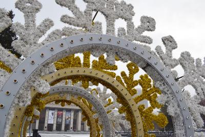 Каток на площади Ленина в Новосибирске откроют во второй половине декабря -  sib.fm