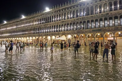 Площадь Сан-Марко в Венеции — подробно с фото