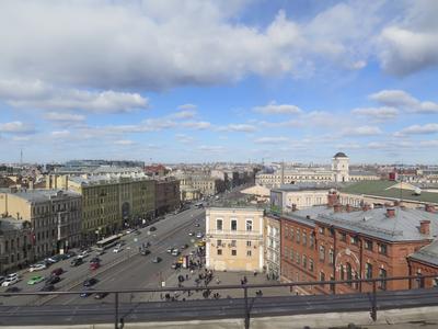 На площади Восстания на месяц введут ограничения движения. Изменения будут  действовать в восьми районах Петербурга | Sobaka.ru