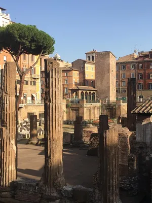 Римский Форум - площадь в центре Рима: описание и достопримечательности,  часы работы и как добраться