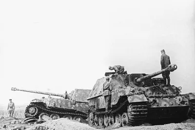 Рассекречены фотографии подбитых немецких танков на Курской дуге -  Российская газета