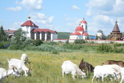 Самарская обл . Село Подгоры / Самара, Россия / Фотоальбом: AllaSamara