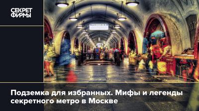 Подземный музей «Зарядье» , Москва - «Небольшой, но очень классный музей,  где всем интересно и всё (почти) можно трогать!» | отзывы