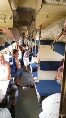 Фирменный поезд №152 Анапа - Москва - «? Хотите увидеть что творится в  плацкарте фирменного поезда Анапа-Москва? И возможно ли в нем ехать 24  часа? Туалеты, сиденья, сервис в поезде. Фрейд, дети и пенсионеры.» | отзывы