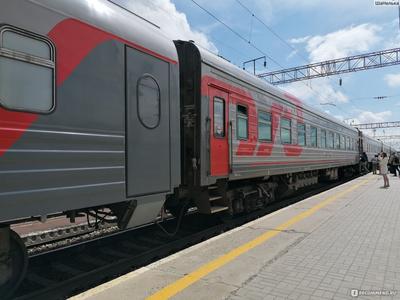 Сравним 102 и 104 поезд Москва-Адлер? | Ёлки - север, пальмы - юг | Дзен