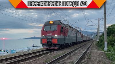 Info RM: Пассажир поезда Саранск-Москва грозился изнасиловать весь вагон