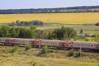 На СвЖД восстанавливают еще два поезда в сообщении с Черноморским  побережьем - KP.RU