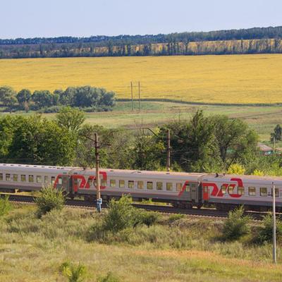 В сентябре из Перми в Адлер отправится четыре дополнительных поезда |  «Новый компаньон»