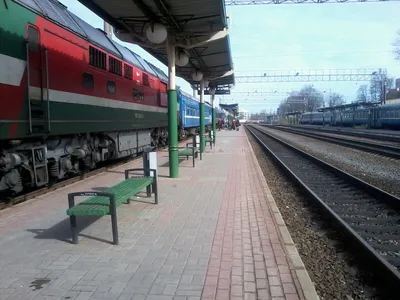Собрали чемоданы, сели на поезд Гродно — Краков». История уехавших из РБ