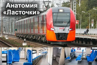 Назначен скоростной поезд №742/741 Москва - Санкт-Петербург | Денис  РационалЪ | Дзен