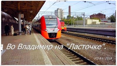 Какой поезд лучше — «Ласточка» или «Стриж»? | Turizm | Дзен