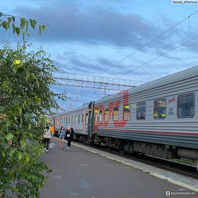 Поезд Москва-Ейск-Москва - «Кажется, я заново влюбилась в поезда, ну или  почти) Поезд Москва - Ейск 232 МА - комфортная поездка на море в июле 2023  года » | отзывы