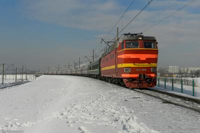 Состав поезда Грозный - Москва обновили 29 современными вагонами | ИА Чечня  Сегодня