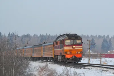 Отзыв о Поезд фирменный Рига-Москва 002РТ \"Латвия-Экспресс\" | В отличие от  поезда в Ригу, он фирменный и у него удобное расписание!