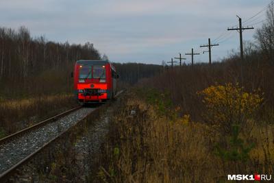 Всё Новогодье в метро Петербурга будет ходить тематический поезд «Большое  путешествие по Северному Кавказу» | 15.12.2021 | Новости Нальчика -  БезФормата