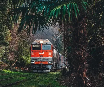 В Абхазии поезд Москва - Сухум столкнулся с экскаватором | Югополис