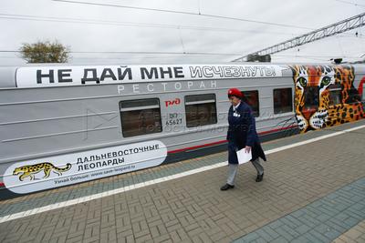 Поезд 🚝 Москва — Владивосток: цена билета в 2024 году, купить билеты,  маршрут следования, время в пути, отзывы