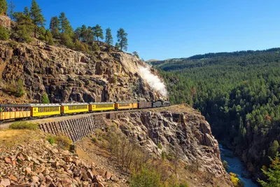 Поездка в Америку. Вашингтон. В салоне поезда Amtrak