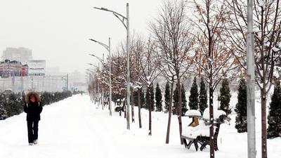 Какая погода будет в Тюмени 1 января: будет ли холодно в новогоднюю ночь -  30 декабря 2023 - 72.ру