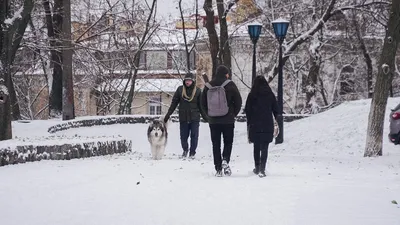 Погода в Украине 19 января будет ясной без штормов, но морозной |  РБК-Україна