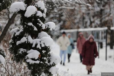 Погода в Екатеринбурге вернётся к норме – 9…– 11 градусов 18 декабря |  Уральский меридиан