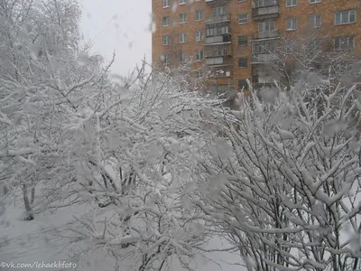 Какая погода будет в новогоднюю ночь в Екатеринбурге