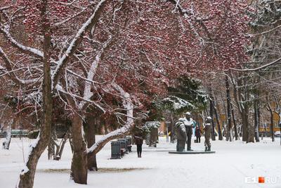Когда выпадет снег в Екатеринбурге - KP.RU