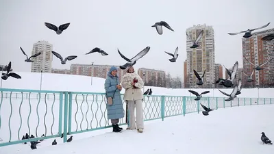 Москвичей предупредили об аномально холодной погоде в пятницу - РИА  Новости, 15.01.2021