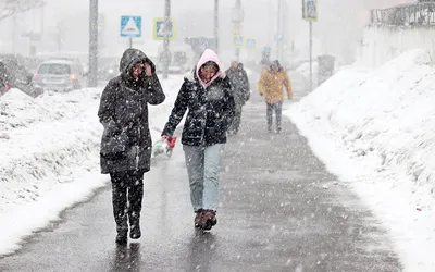 Синоптики дали прогноз погоды в Москве на ноябрь 2022: Финальный месяц  осени удивит аномалиями - KP.RU