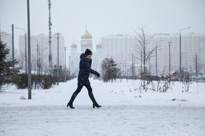 GISMETEO: Погода в Москве: морозы сменятся снегопадами - О погоде | Новости  погоды.