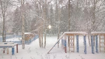 Москвичам пообещали потепление до четырех градусов — прогноз погоды на  неделю с 18 до 24 декабря — Сноб