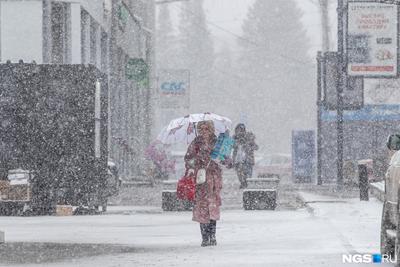 Снегопад в Московском регионе стал самым мощным за последние 40 лет