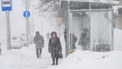 Рекордные снегопады, метели и резкое похолодание: что готовит погода в  феврале.