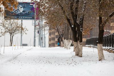 Снегопад, оттепель и гололедица. Погода в Москве вот-вот сойдет с ума |  Природа | Общество | Аргументы и Факты