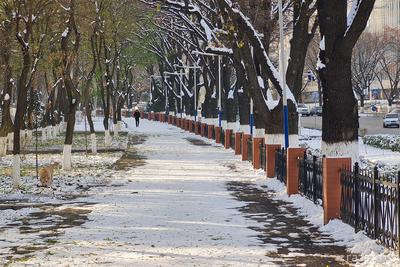 Апрельский снегопад в Москве: аномалия или норма? - «Экология России»